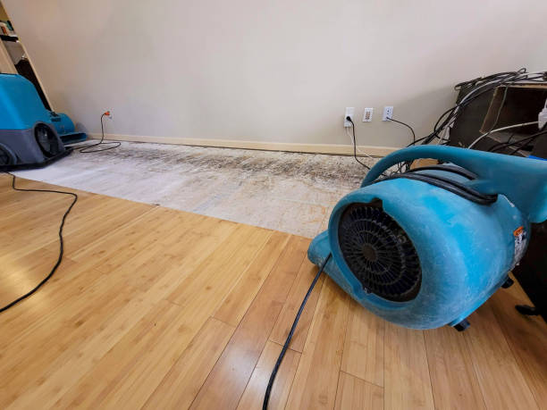 Professional Water Removal technician working in Emory, VA